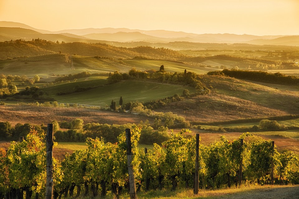 Sunset in Chianti