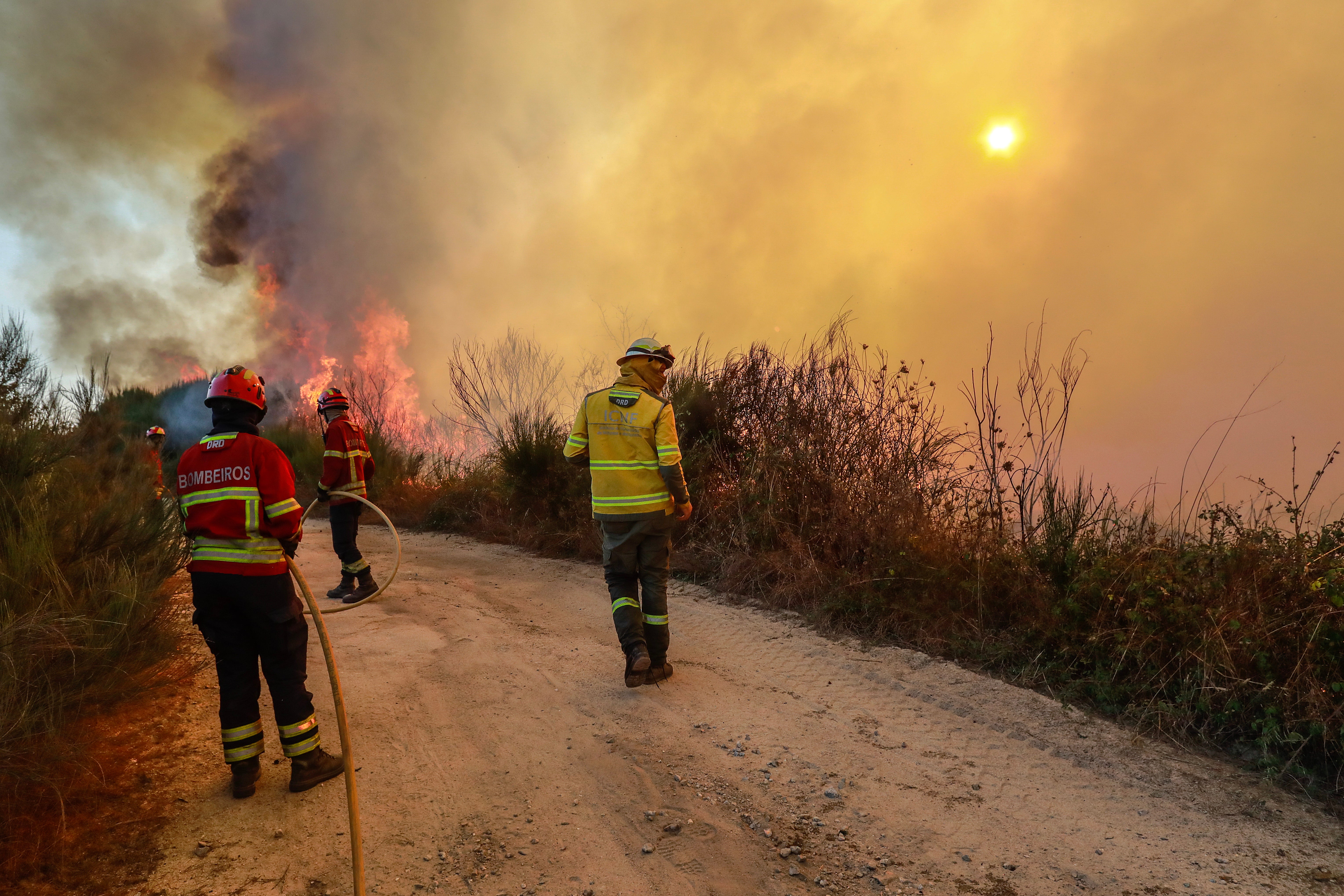 Firefighters fight a fire in the industrial area next to the northern railway line, Nelas, Viseu, Portugal, 17 September 2024