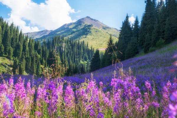 8 of the best day trips from Almaty, Kazakhstan