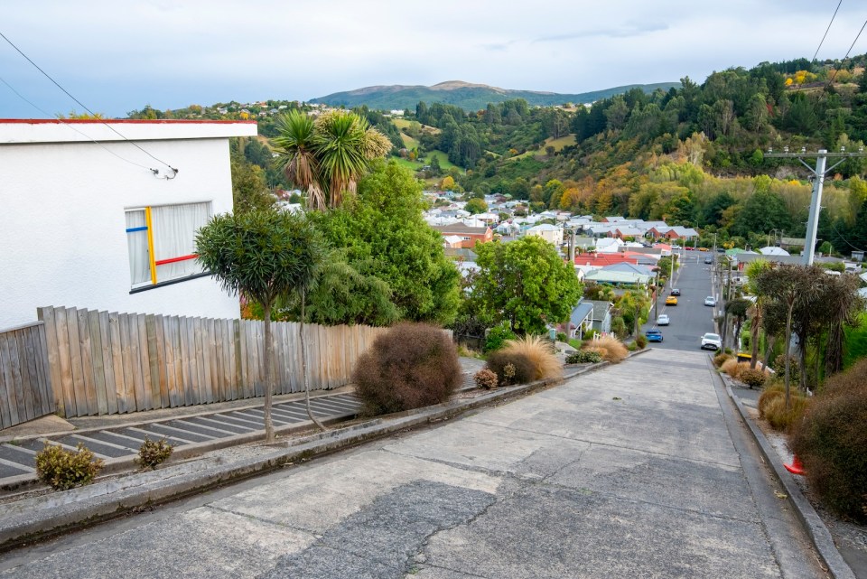 Steepest Street in the World - Dunedin