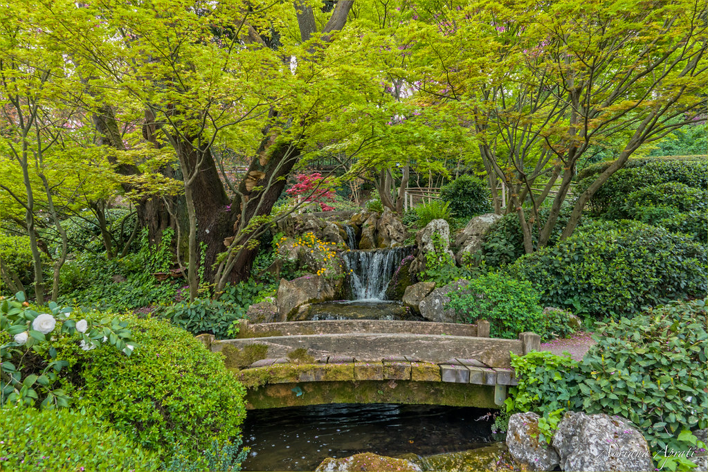 Botanical Garden of Rome