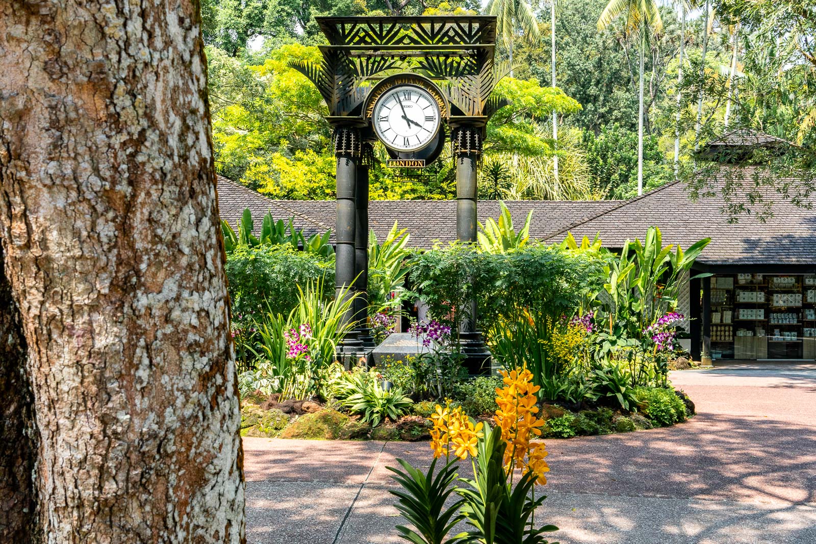 How to visit the Singapore Botanic Gardens in 2024