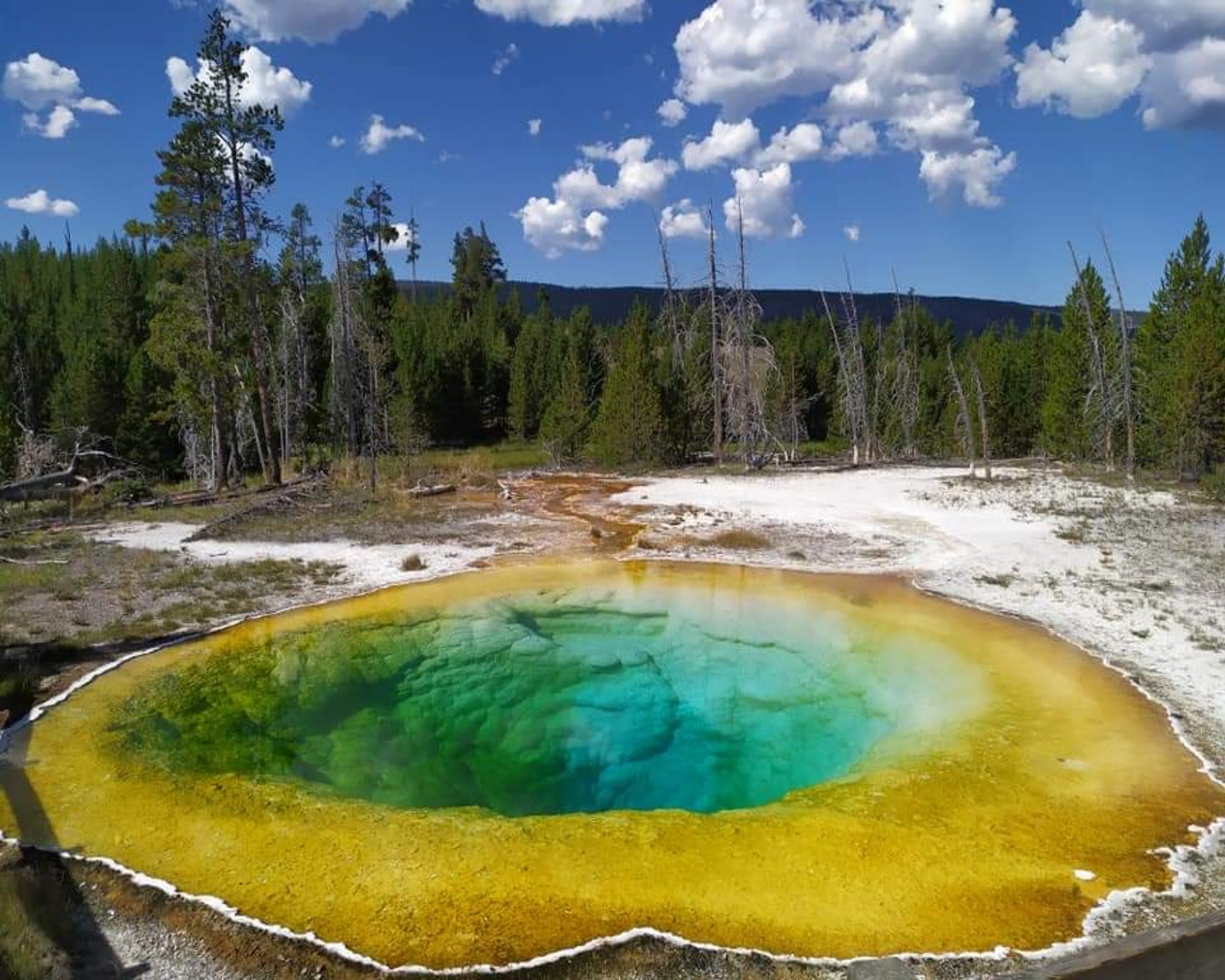 Morning Glory Pool in the Yellowstone Upper Geyser Basin of the United States