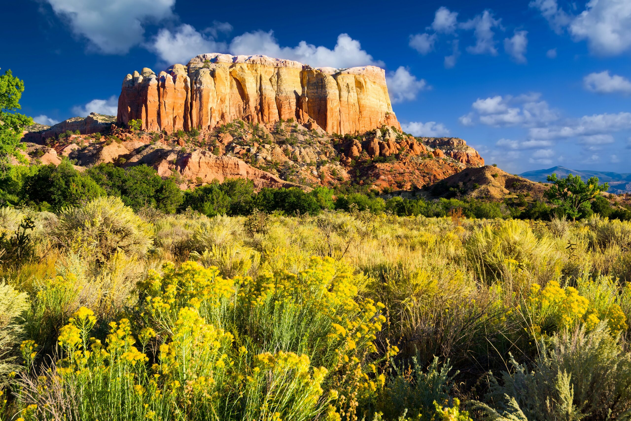 A late afternoon in the Red Rocks area of Northern New Mexico, with amazing colors visible in the rock formations behind a meadow of yellow flowers and green bushes