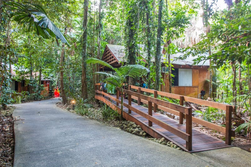 Cape Trib Beach House cabins in daintree forest