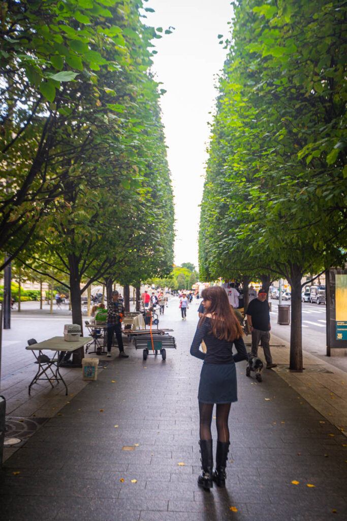 girl walking past avenue of trees in front of the Met