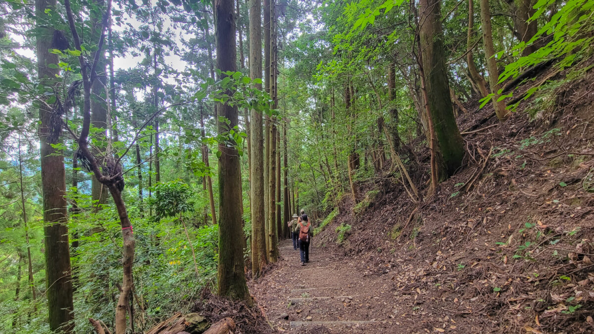 Shikoku 88 Temple hike