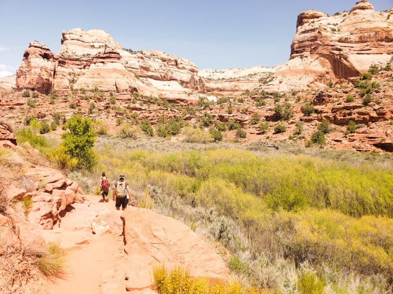 people hiking the lower calf creek falls