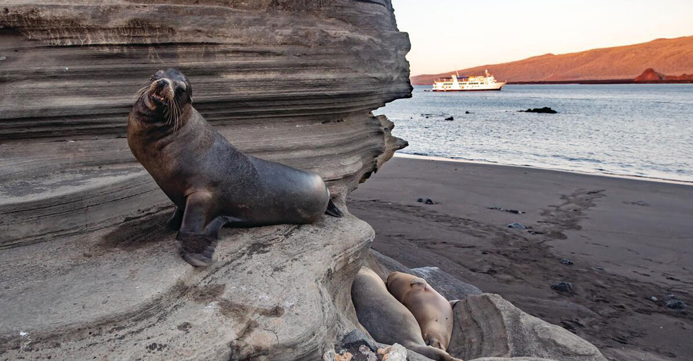 Cruising the Galapagos Islands