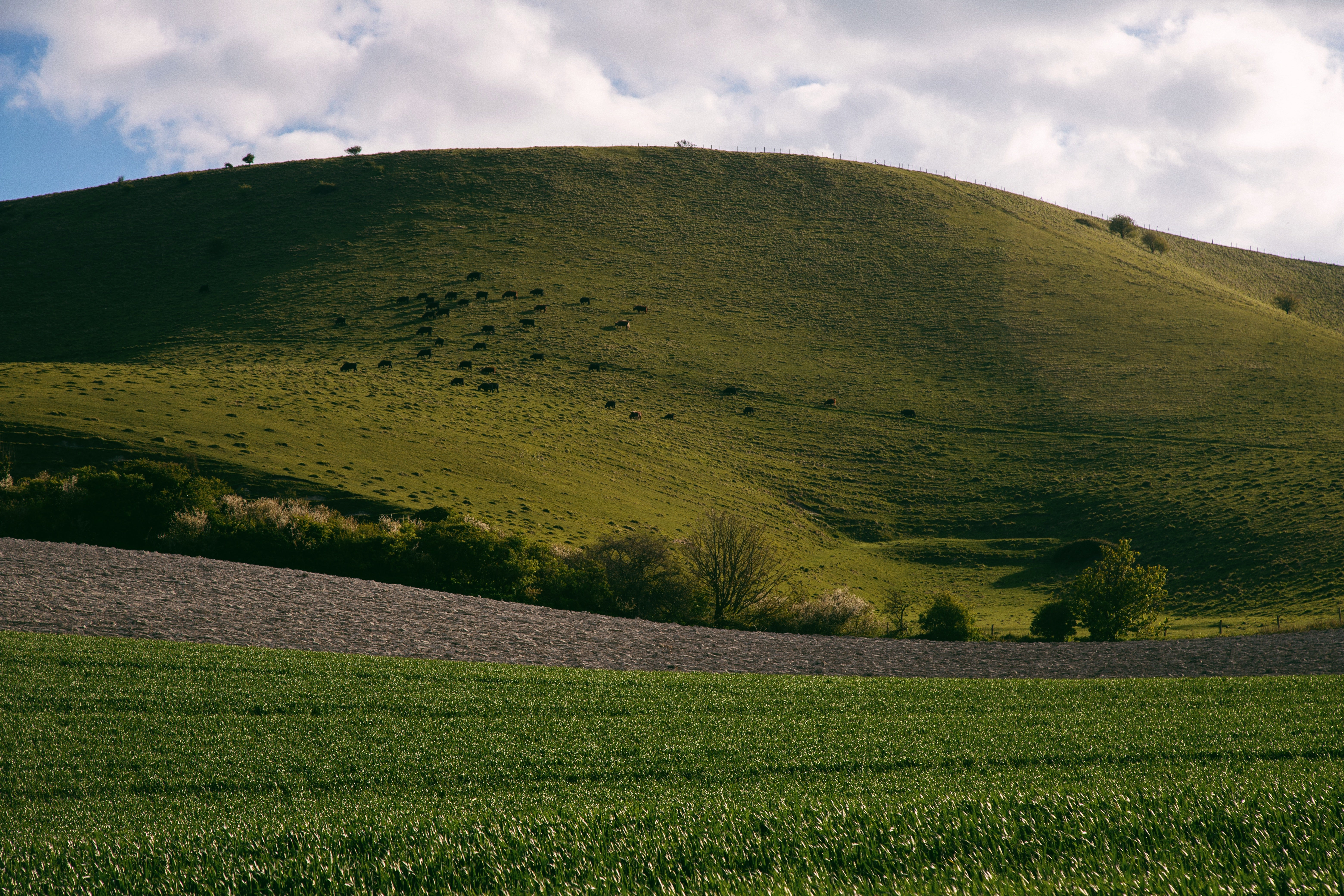 The ‘Hunt Gather Cook’ location is tucked away within the South Downs