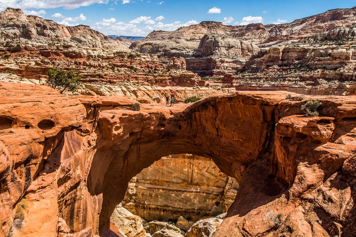 people standing on Cassidy Arch 