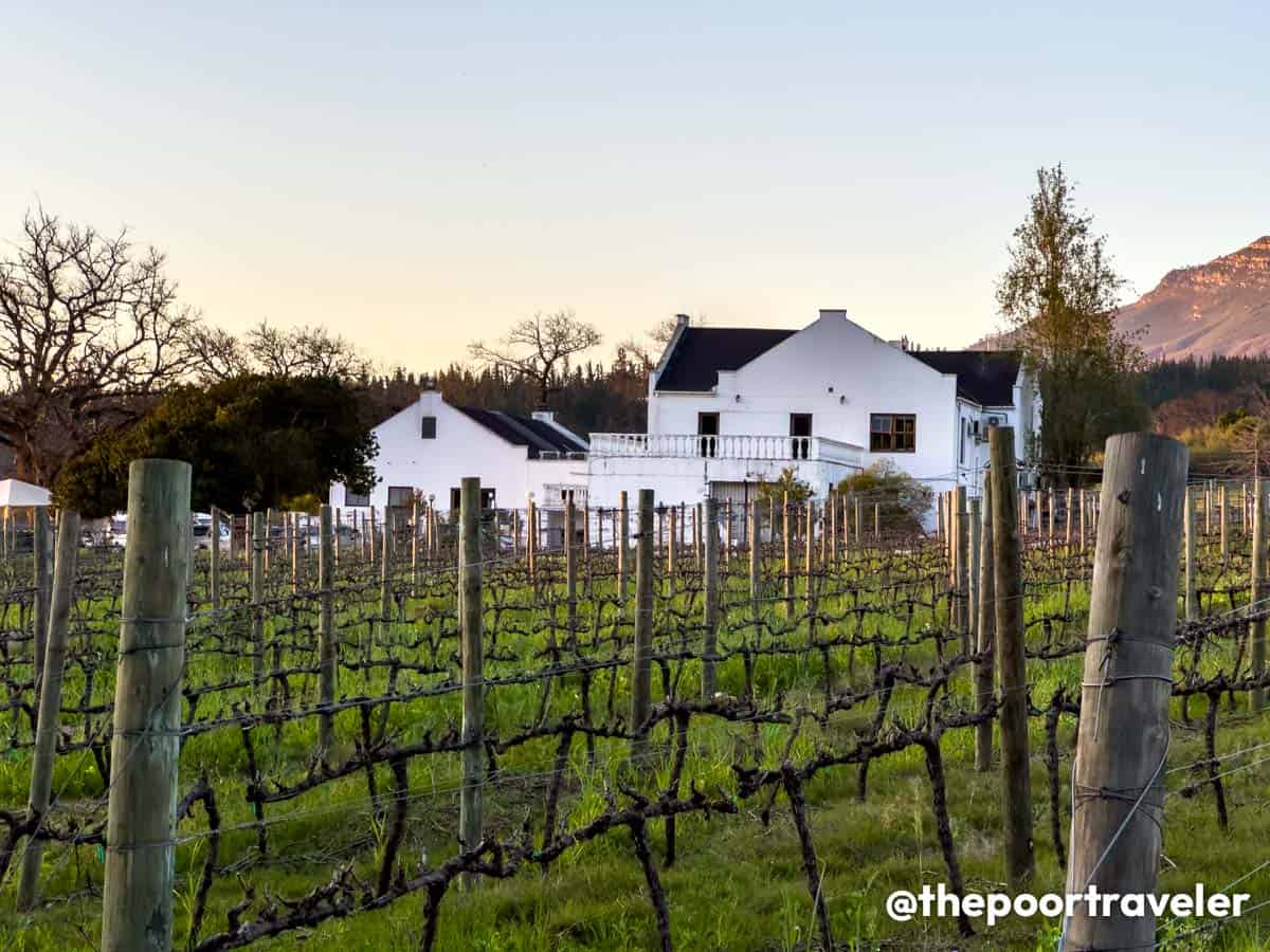 Stellenbosch Wine Lands