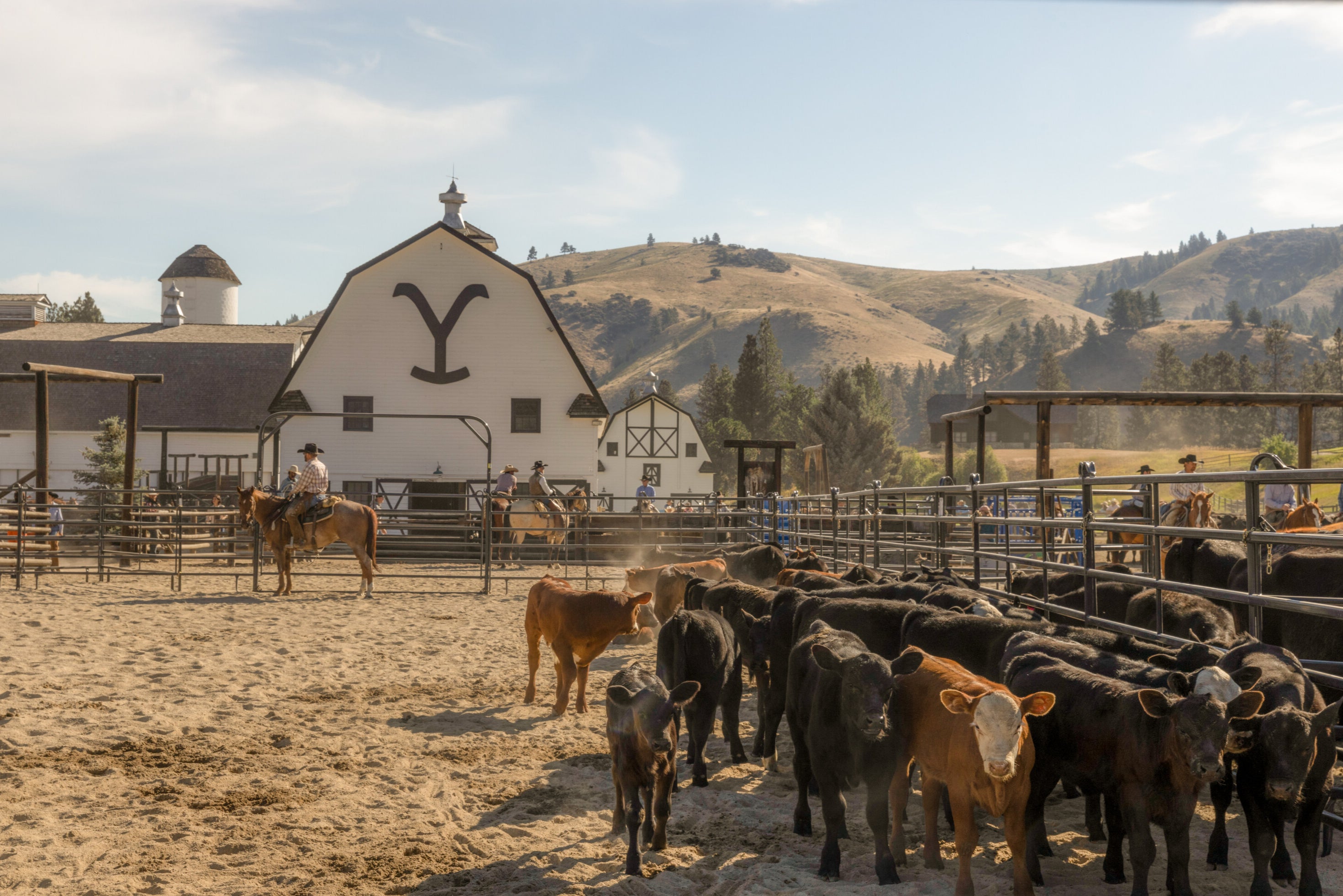 The ranch in the series is emblazoned with a large ‘Y’ on the front of one of the barns