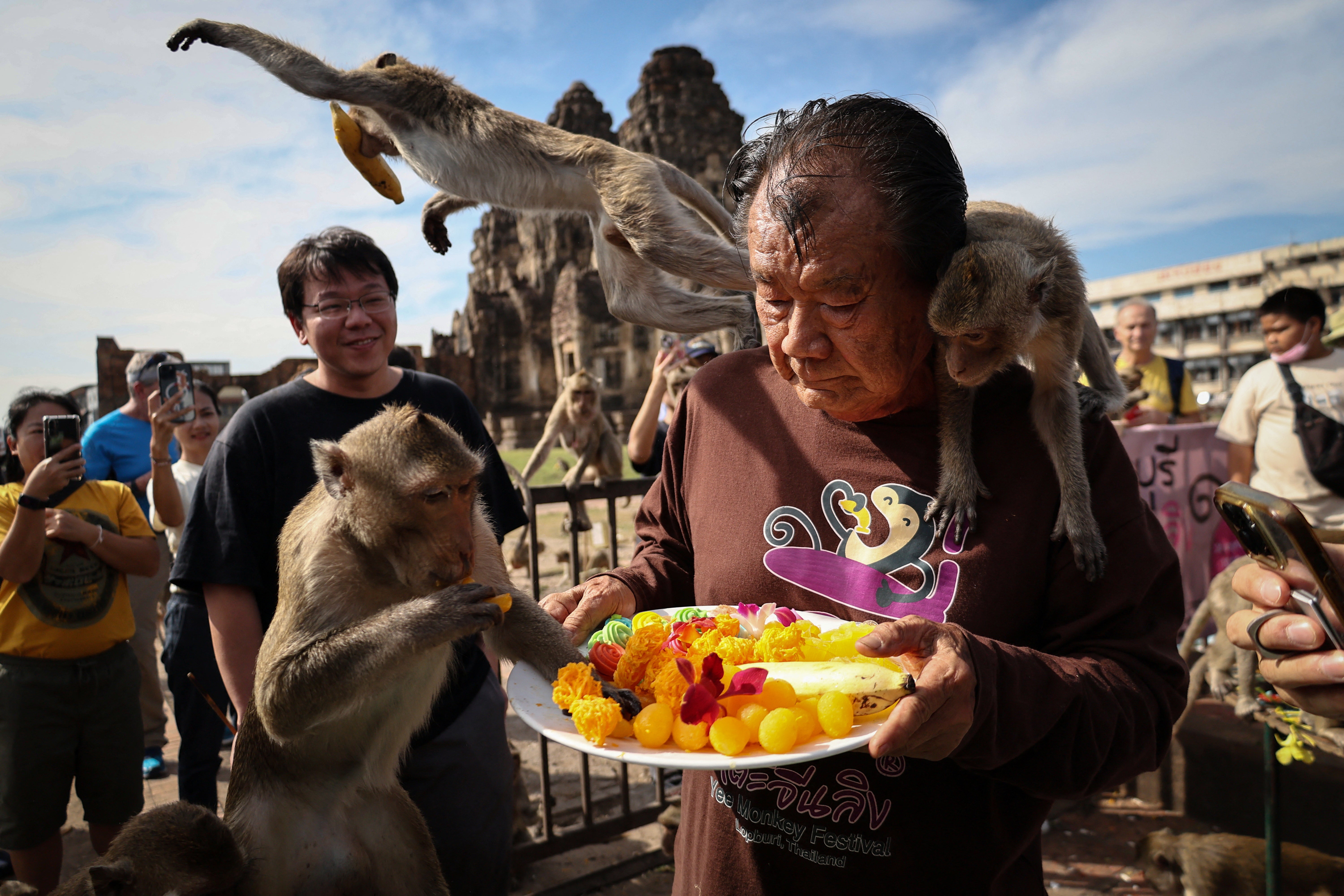 Long-tailed macaques eat fruit as they cling onto Yongyuth Kitwatananusont, 83, who has organised the annual Monkey Festival for thirty-five years at Phra Prang Sam Yot temple, before officials started capturing monkeys, in Lopburi, Thailand, November 26, 2023