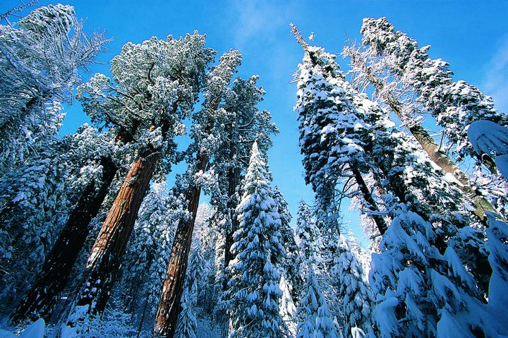 The Best National Parks To Visit In The Winter