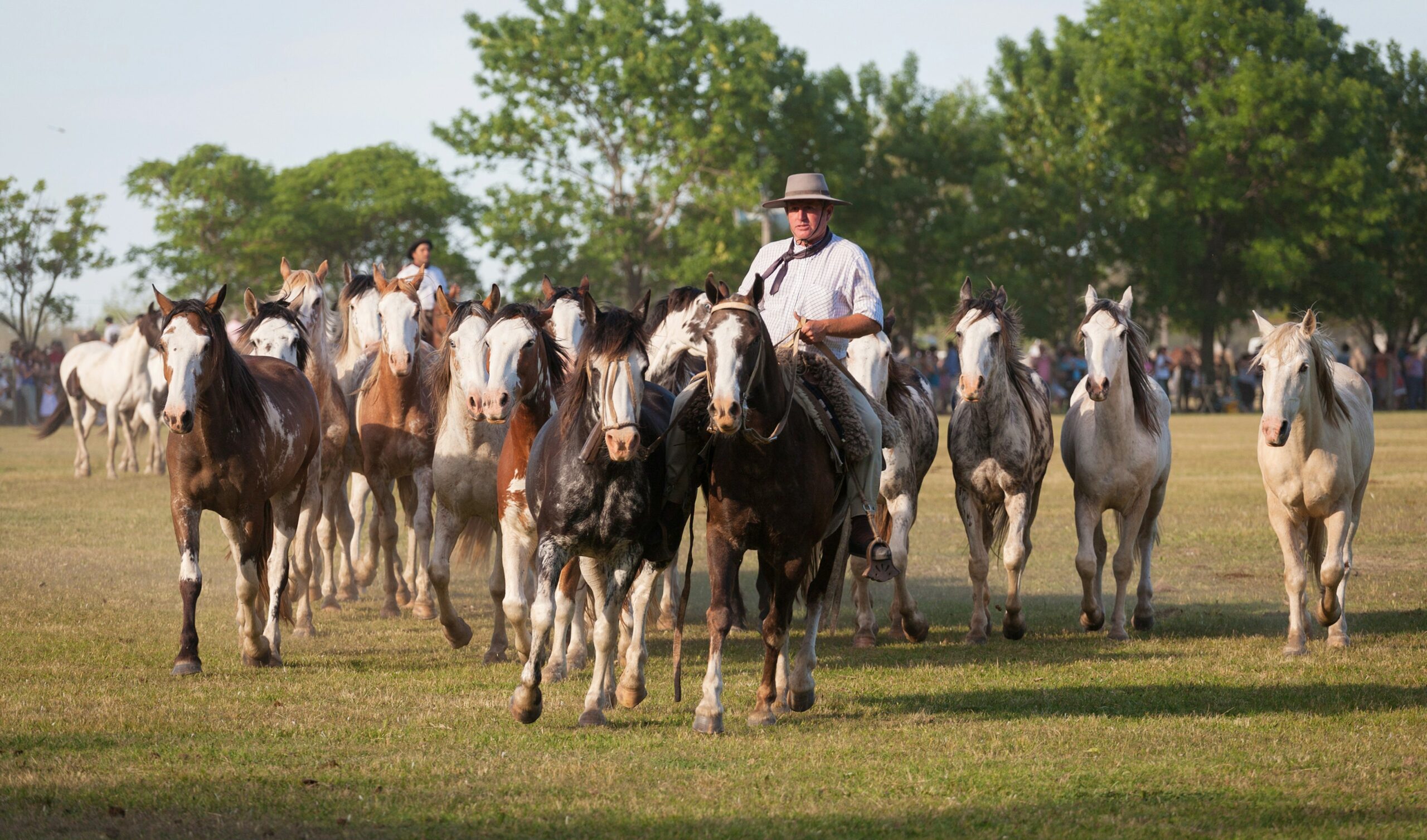 Gauchos en Fiesta de la Tradicion in San Antonio de Areco