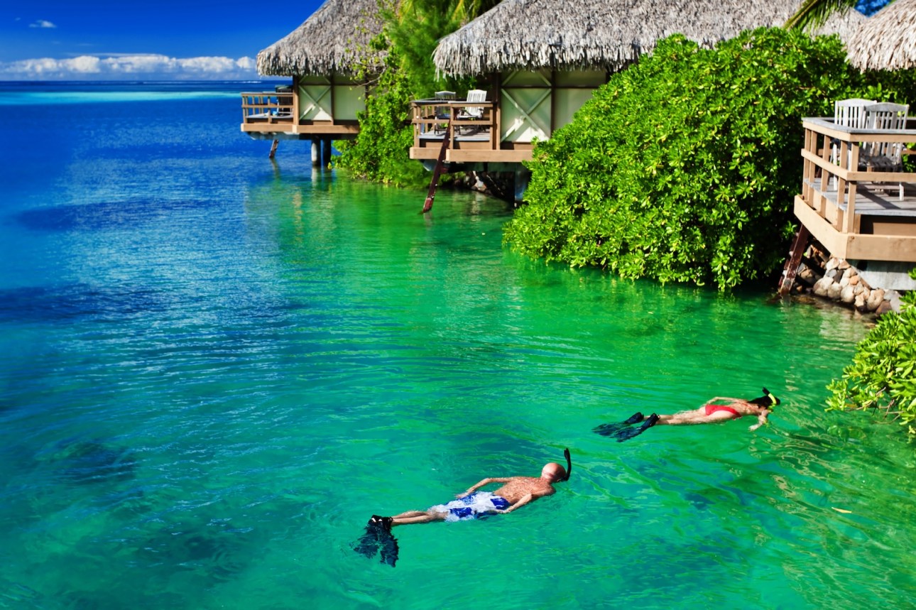 Young couple snorkeling in clean water over coral reef