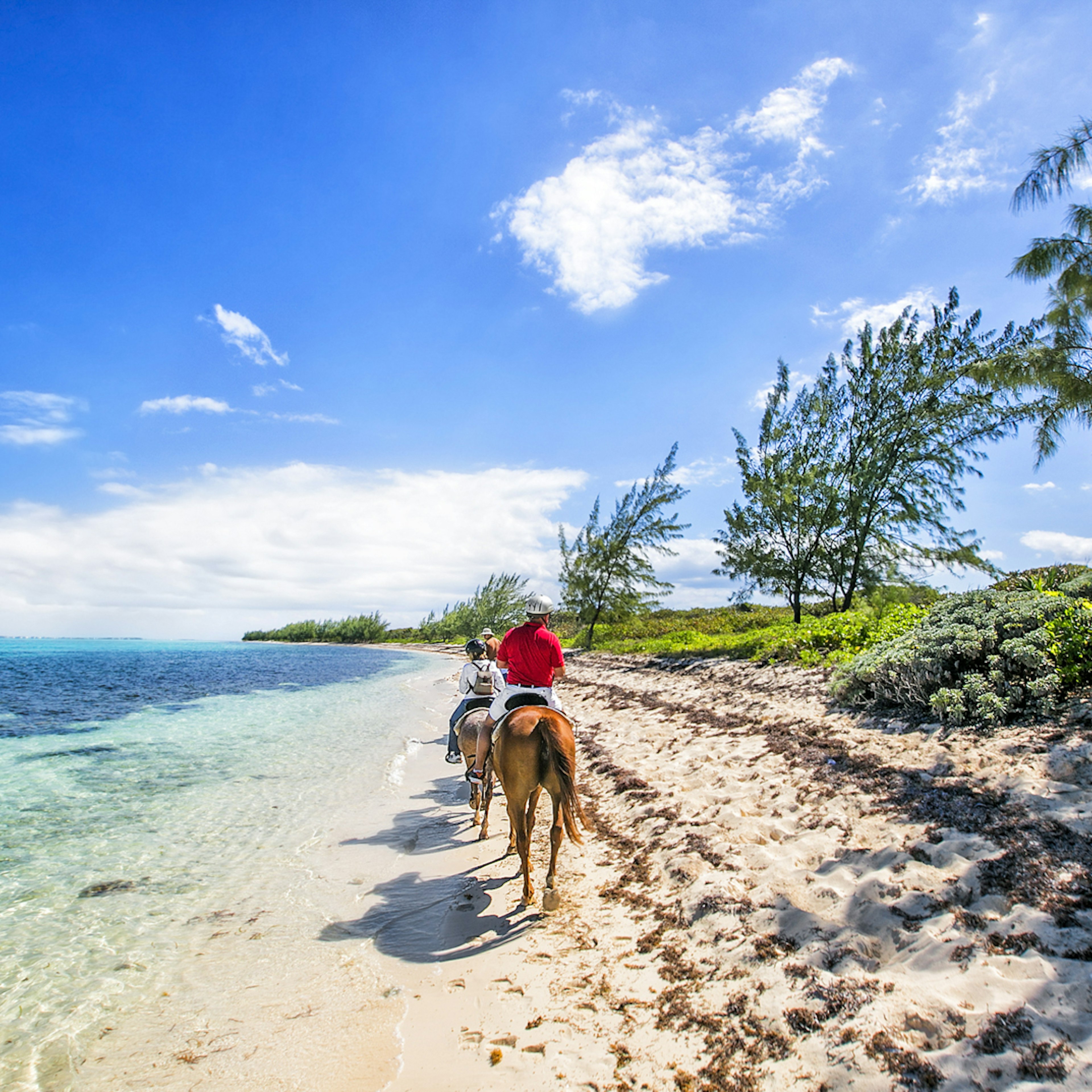 Horseback riding in Grand Cayman