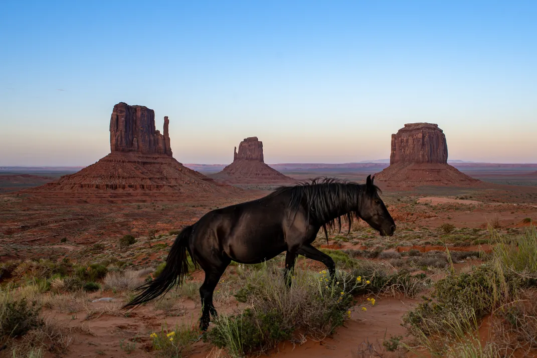 A wild black horse traverses the terrain near the towering sandstone buttes of Monument Valley