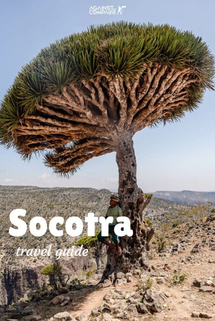 Travel to Socotra