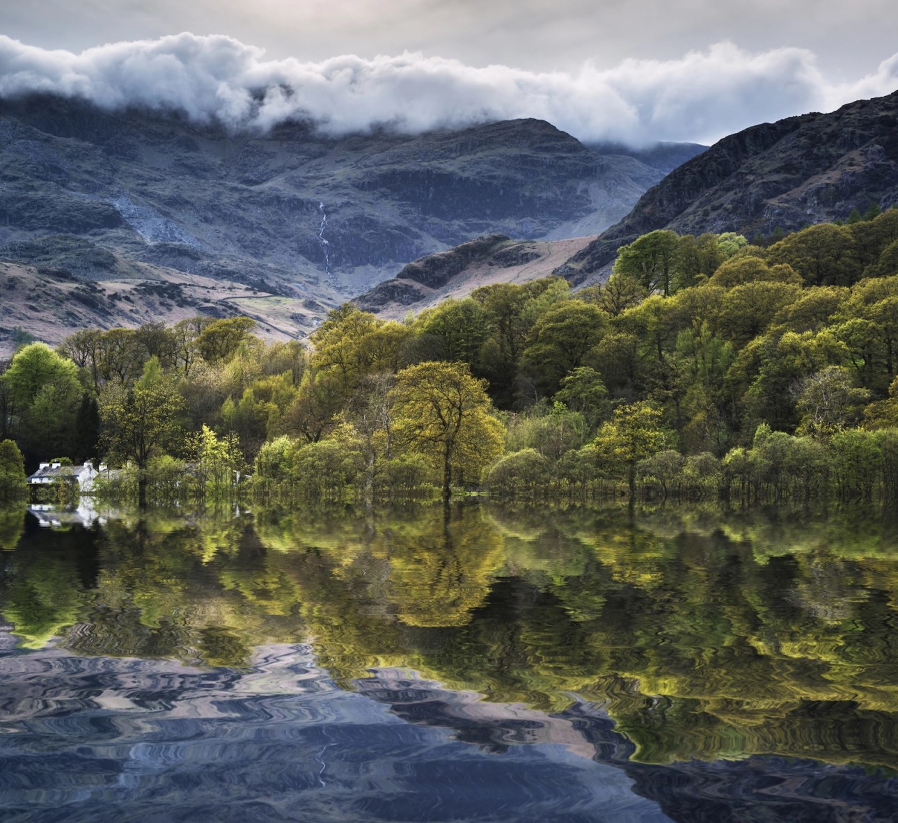Forest landscape reflected in calm water of Consiton Water