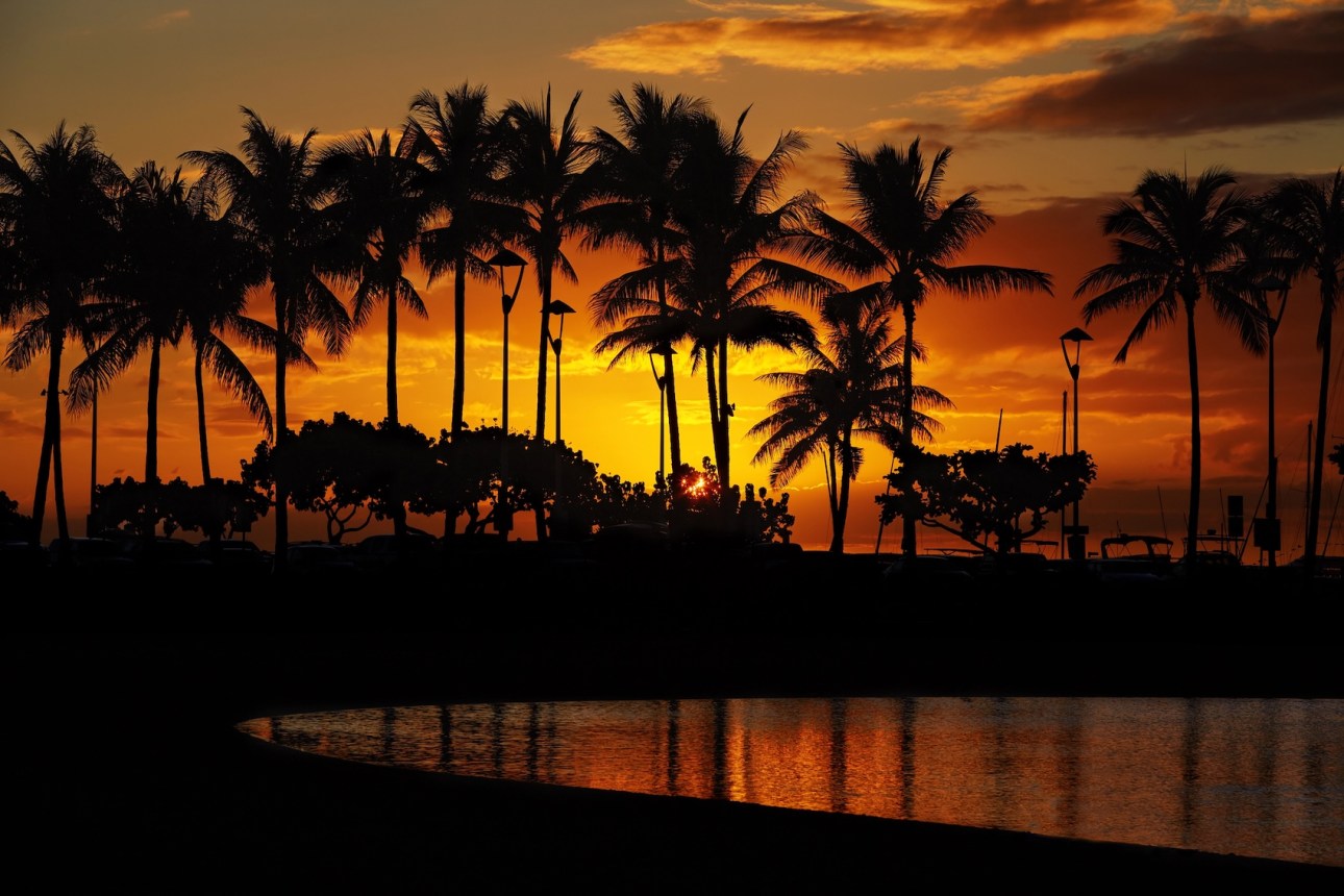 Sunset over palm trees and Lagoon beach from Waikiki Beach, Honolulu, Oahu, Hawaii