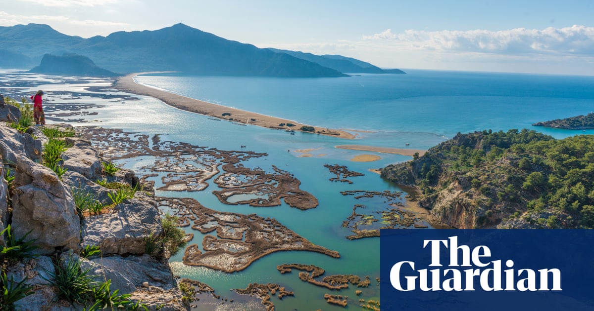 24 favourite travel finds of 2024 - from turtles in Turkey to a Highland pub crawl | Travel