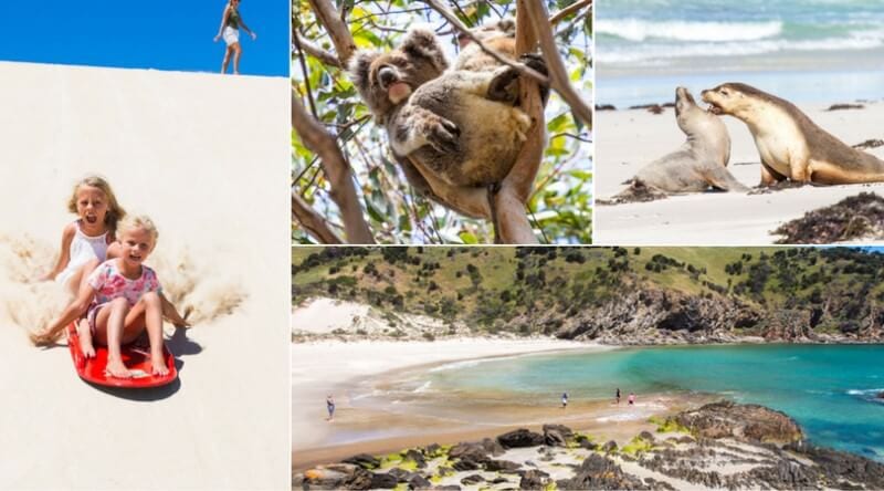 collage of kangaroo island