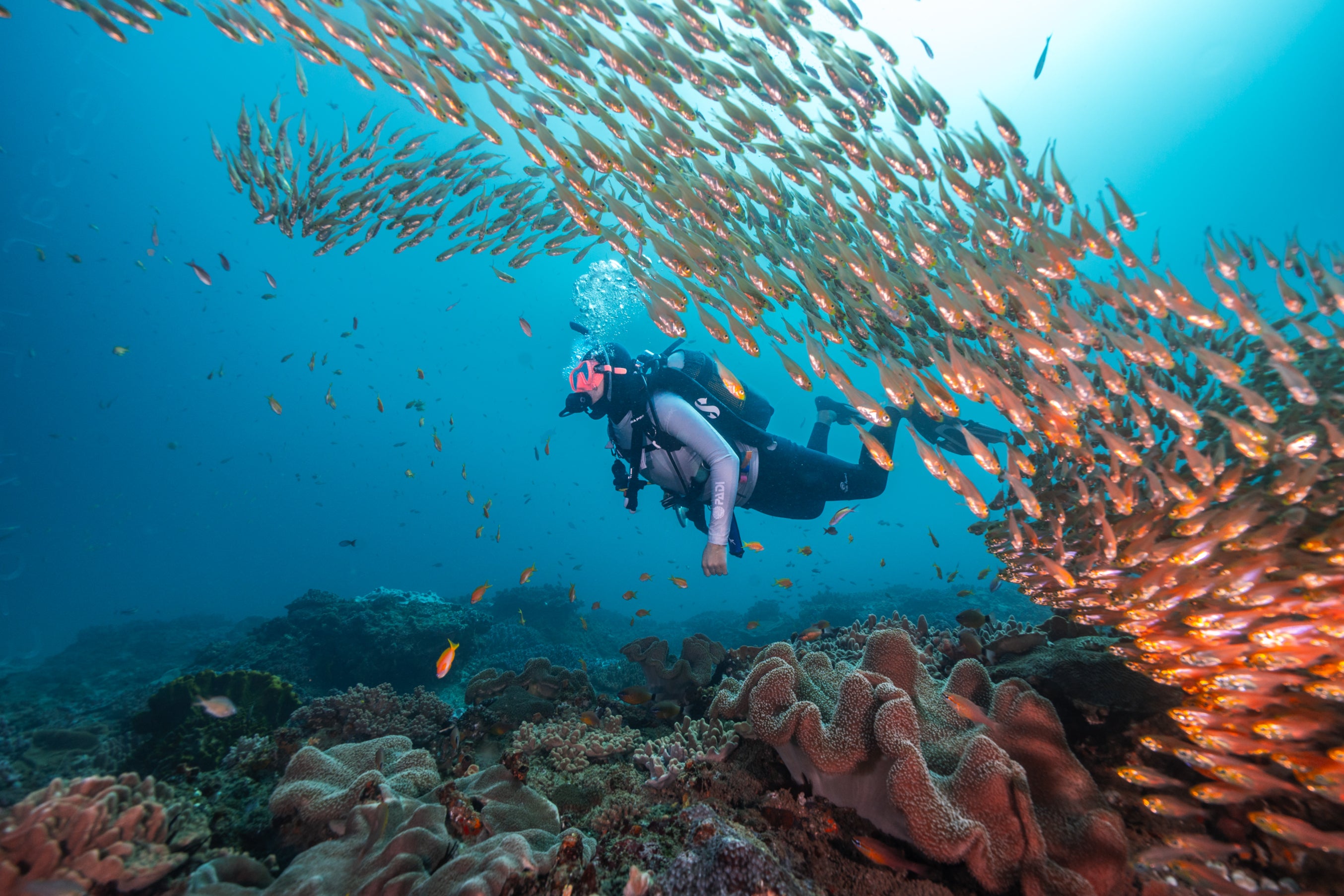 Test out your underwater navigation at this lesser-known scuba spot