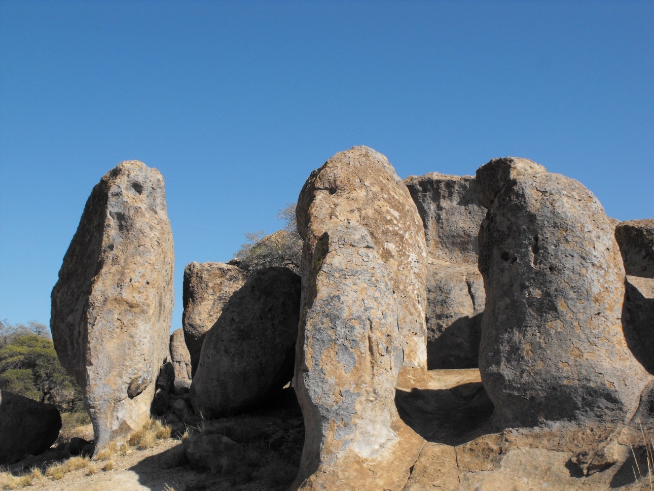 City of Rocks State Park, New Mexico