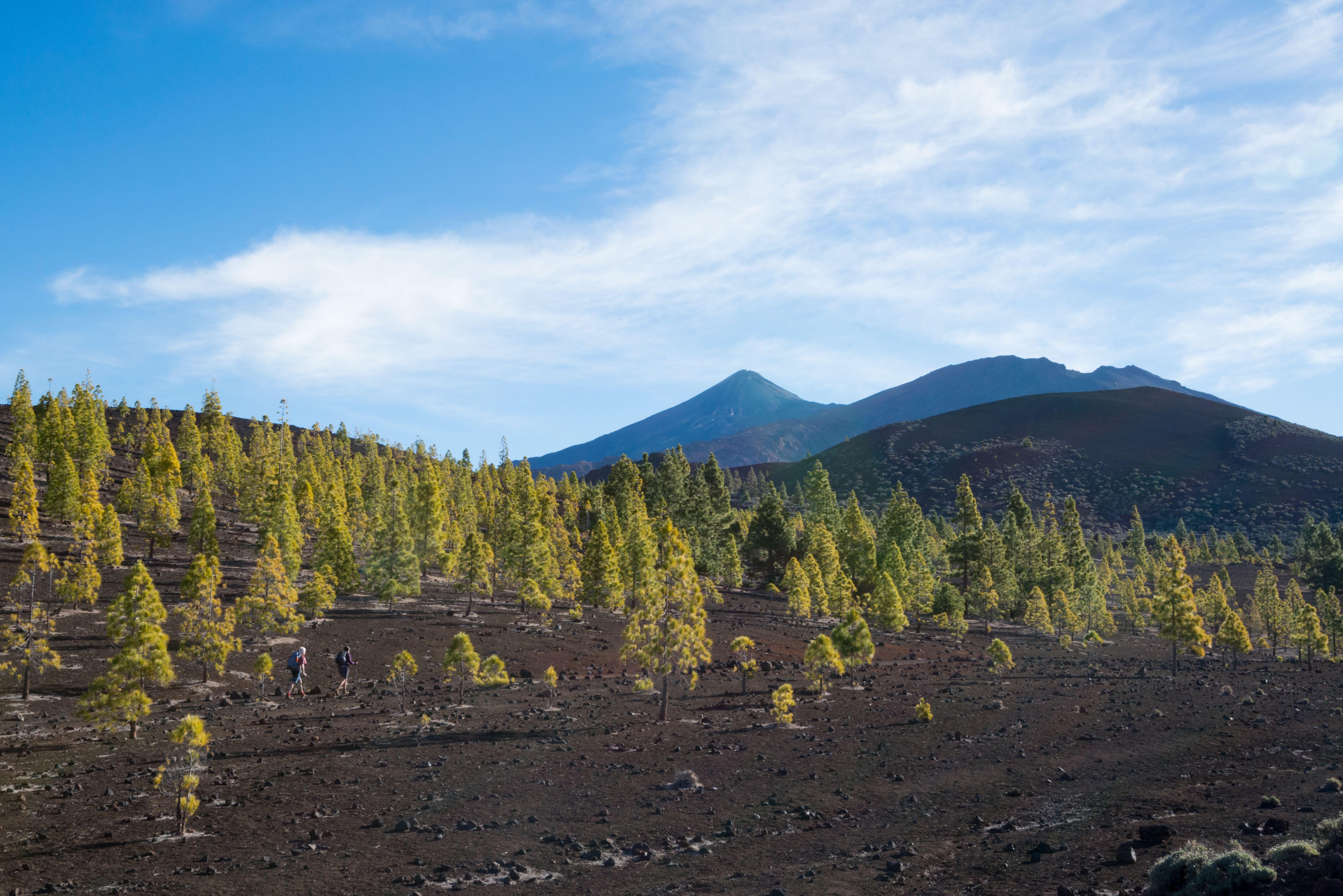 Hiking up Mount Teide in Tenerife, Canary Islands, Spain (Alamy/PA)