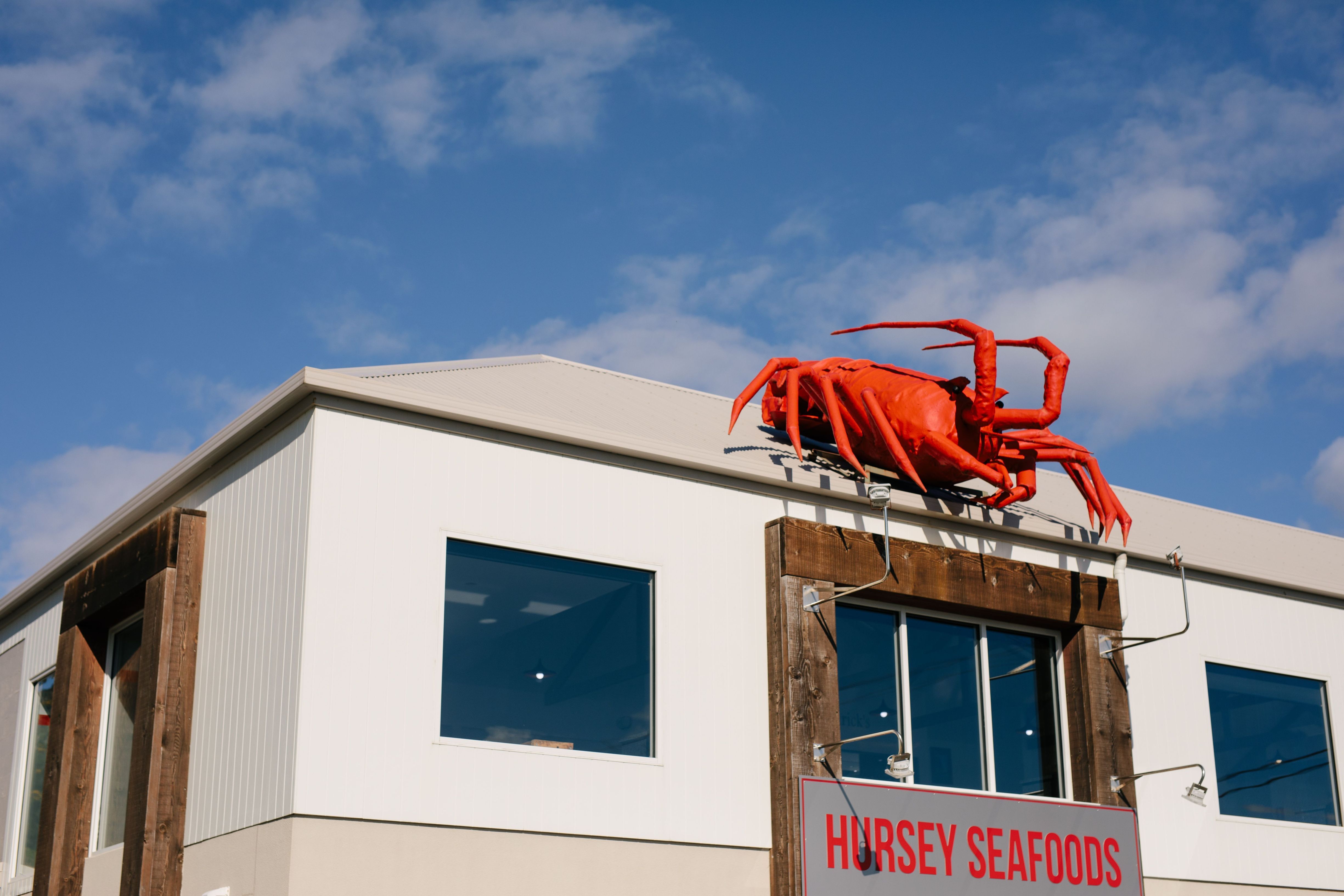 Hursey Seafoods was named the best restaurant in Australia at the 2024 National Seafood Industry Awards - and its locally sourced seafood does not disappoint