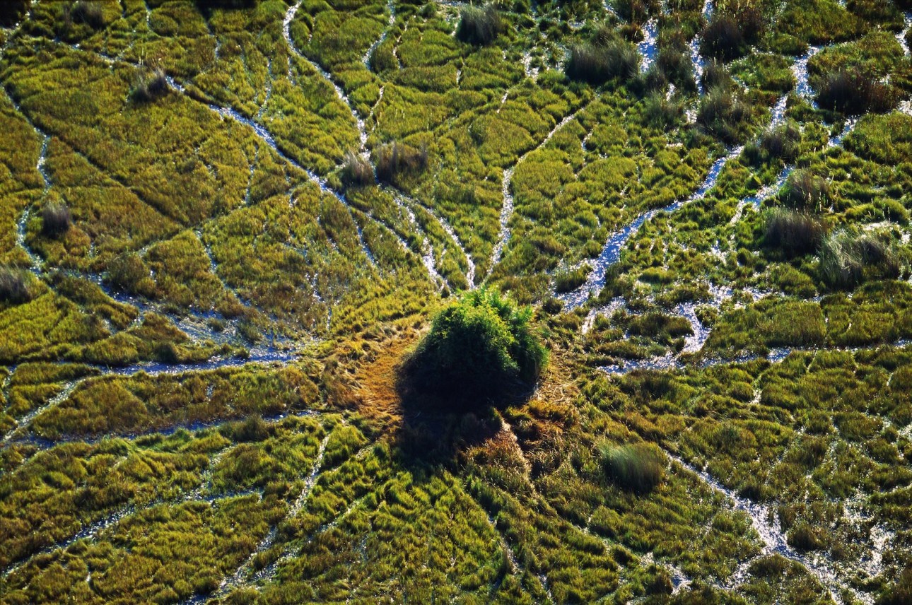 Okavango river