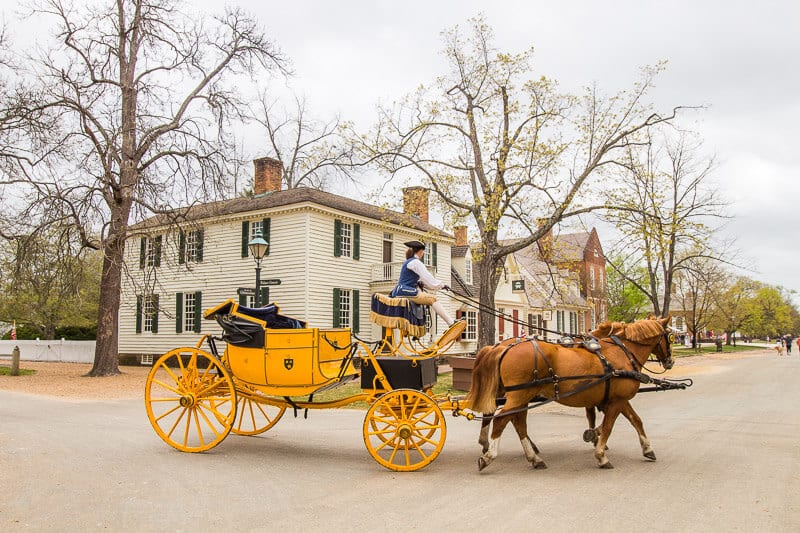 horse and carriage