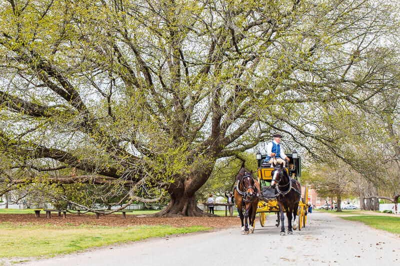 horse and carriage at Colonial Williamsburg
