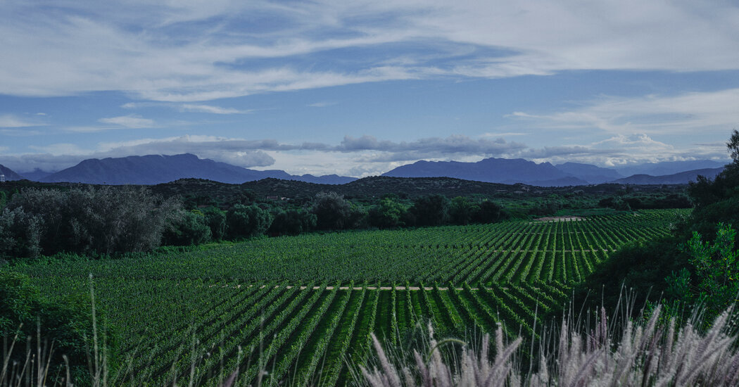 Bolivia’s Wine Country Is Tuscany With a Side of Magic