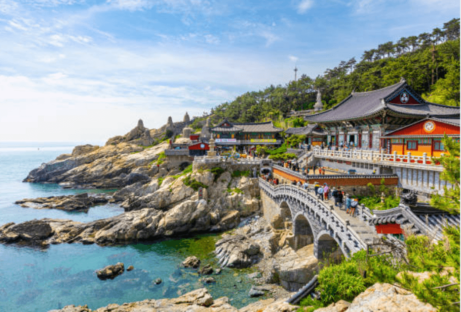 Booked: Three Families to Korea over March Break