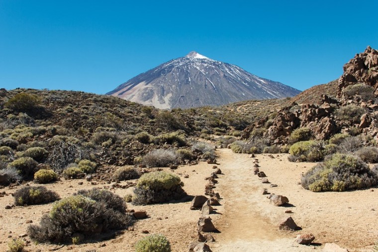 Tenerife trip