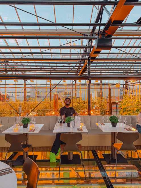 Sól restaurant Iceland Greenhouse Dining Near Reykjavík location Óseyrarbraut Review