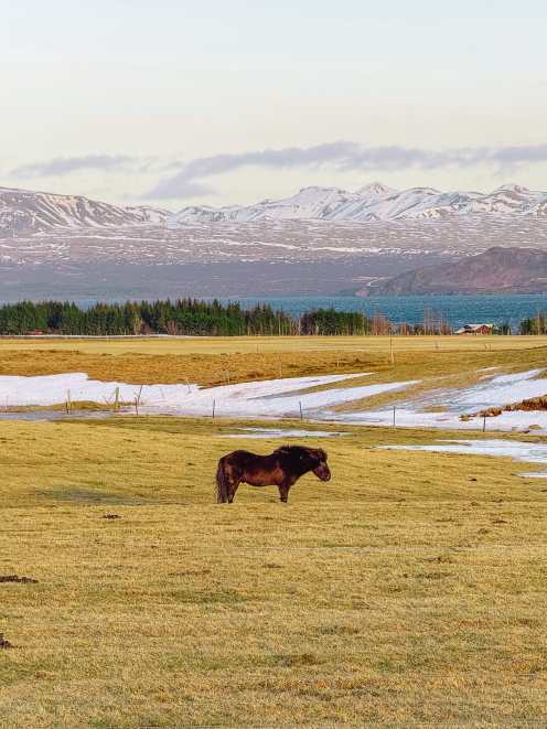 Thingvellir National Park Hand Luggage Only Iceland Nesjavellir