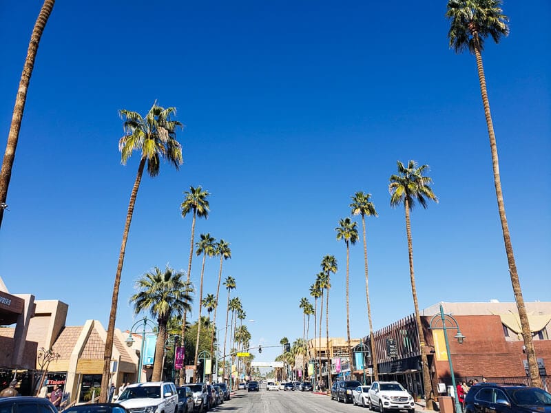 street in Palm Springs, California with palm trees lining the street