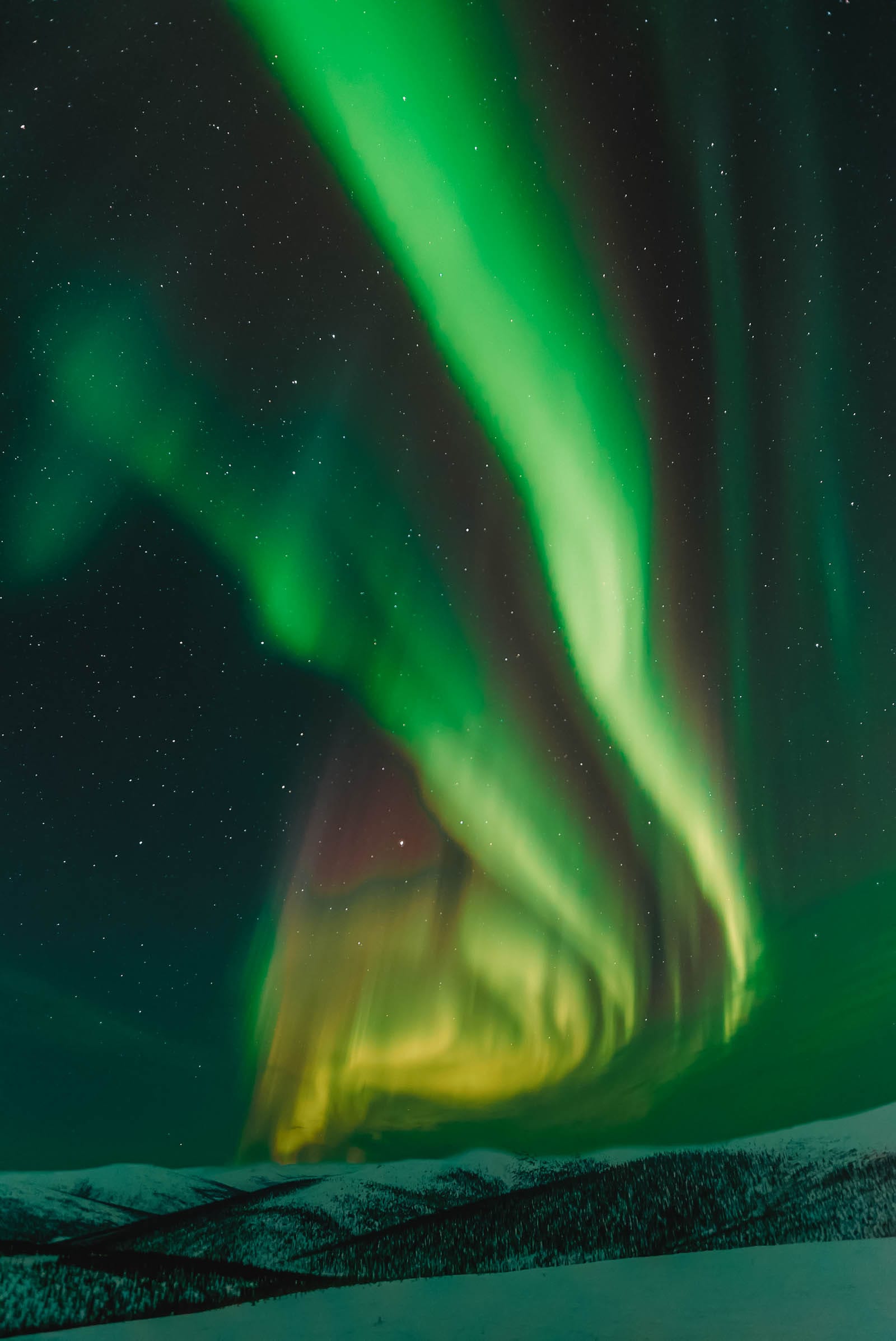 Best Trips In Iceland To Book Northern Lights Tour