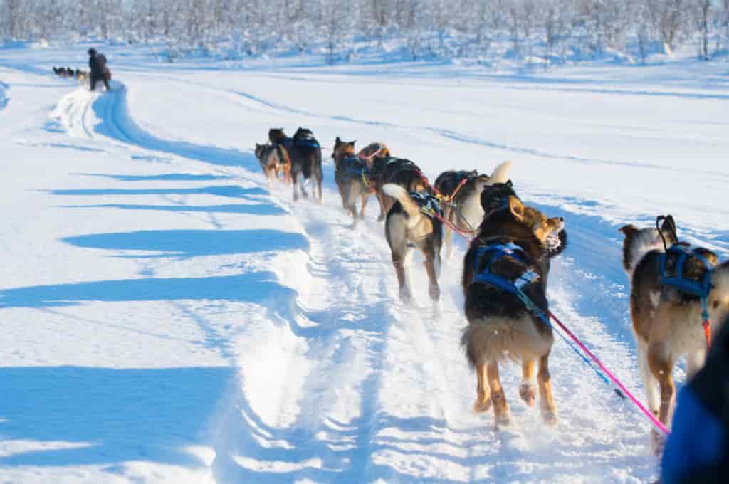 5-Day Finland Itinerary For Winter