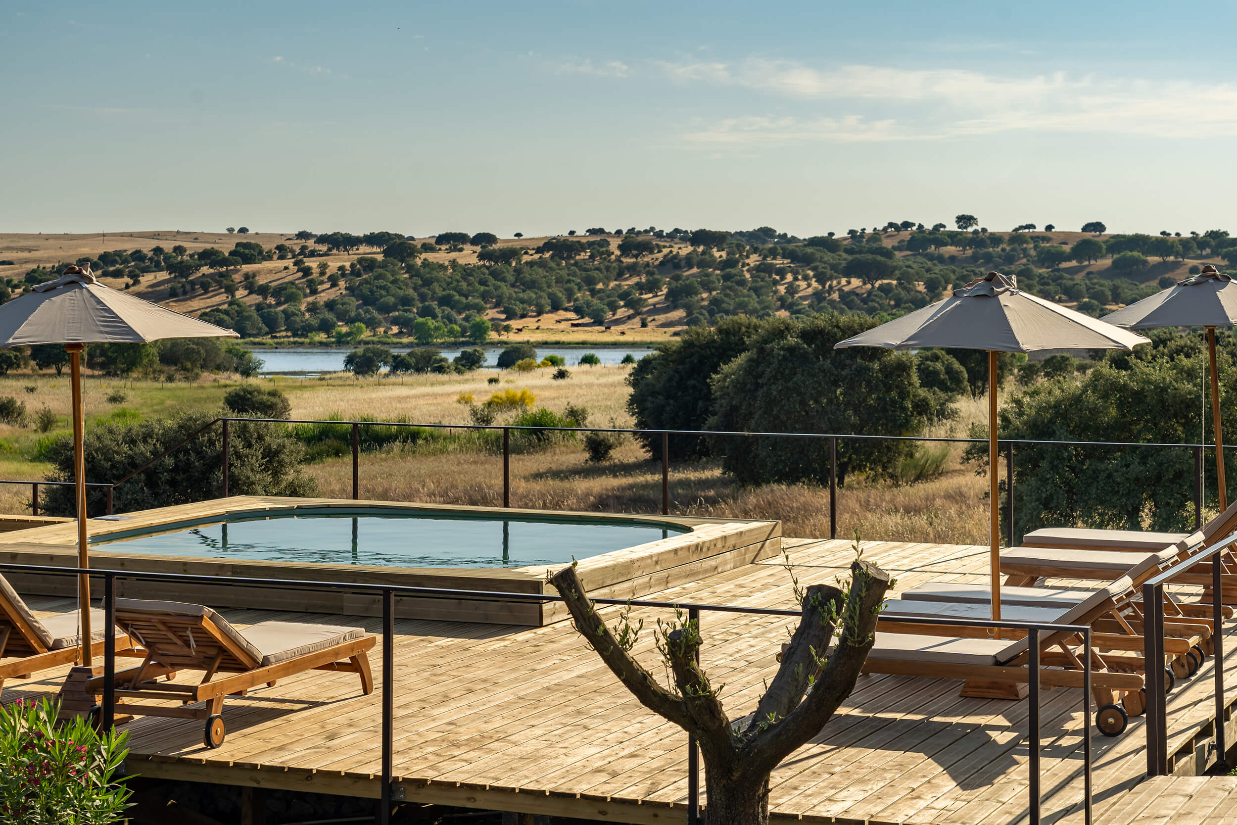There are five pools, two for families and three just for adults
