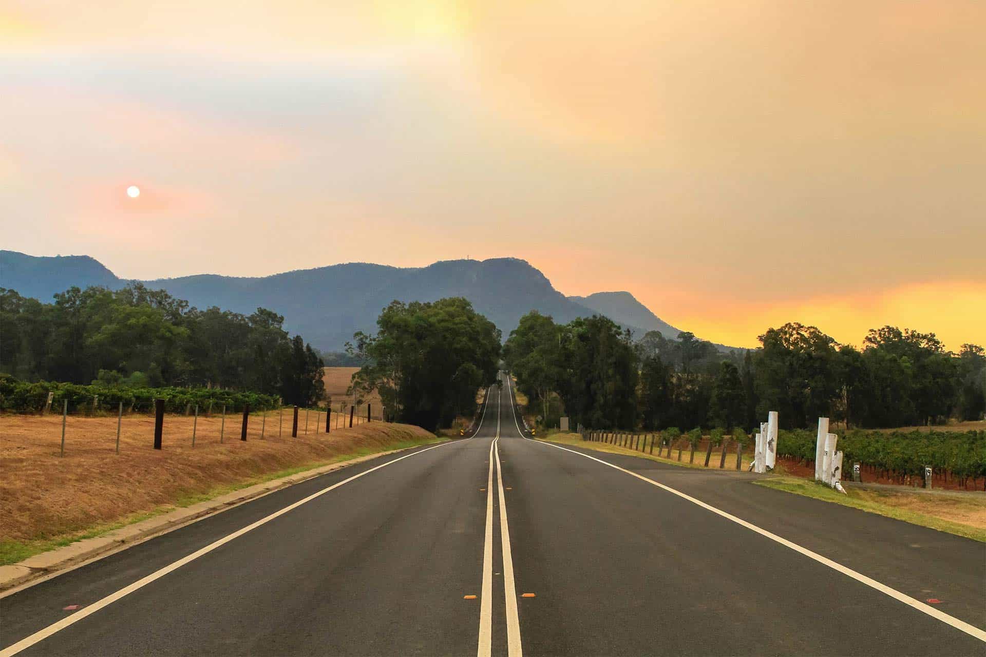 14 Best Things To Do In Hunter Valley, NSW (2025 Guide)