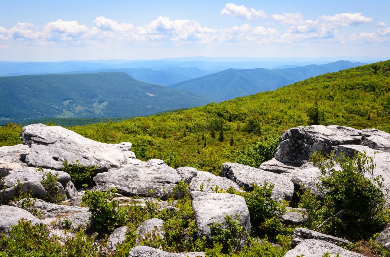 Bear Rocks Preserve, Monongahela National Forest
