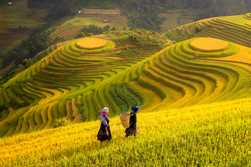 Rolling green rice terraces with two people in the forefront wearing traditional dress