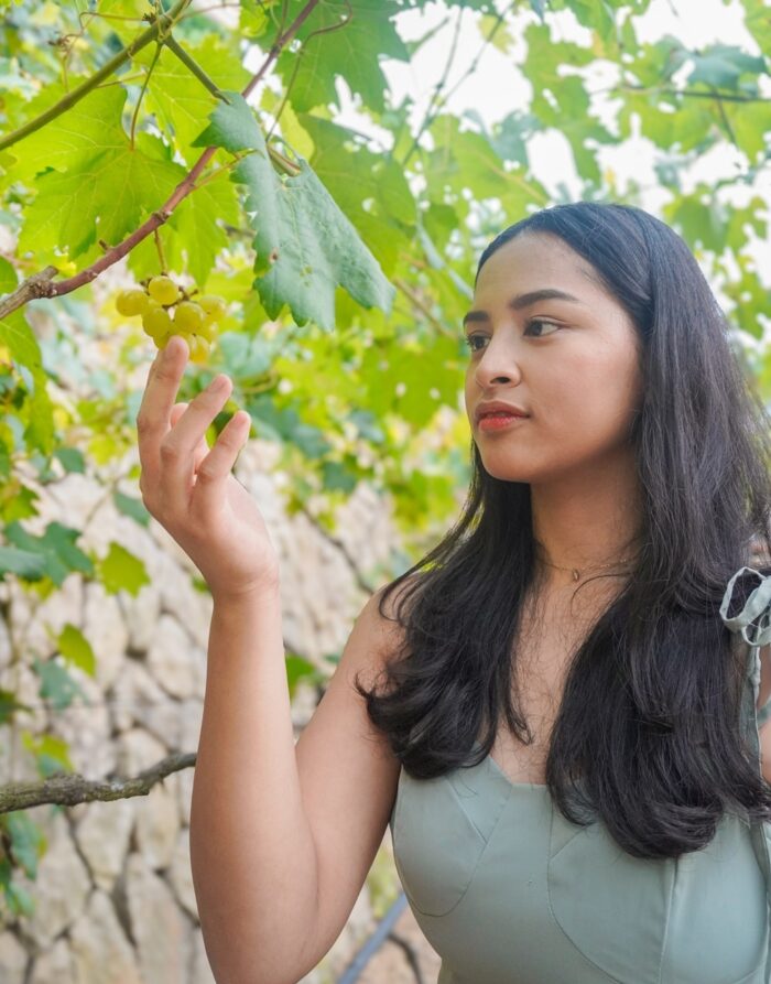 Twin Lakes Hotel Grape Harvest Festival