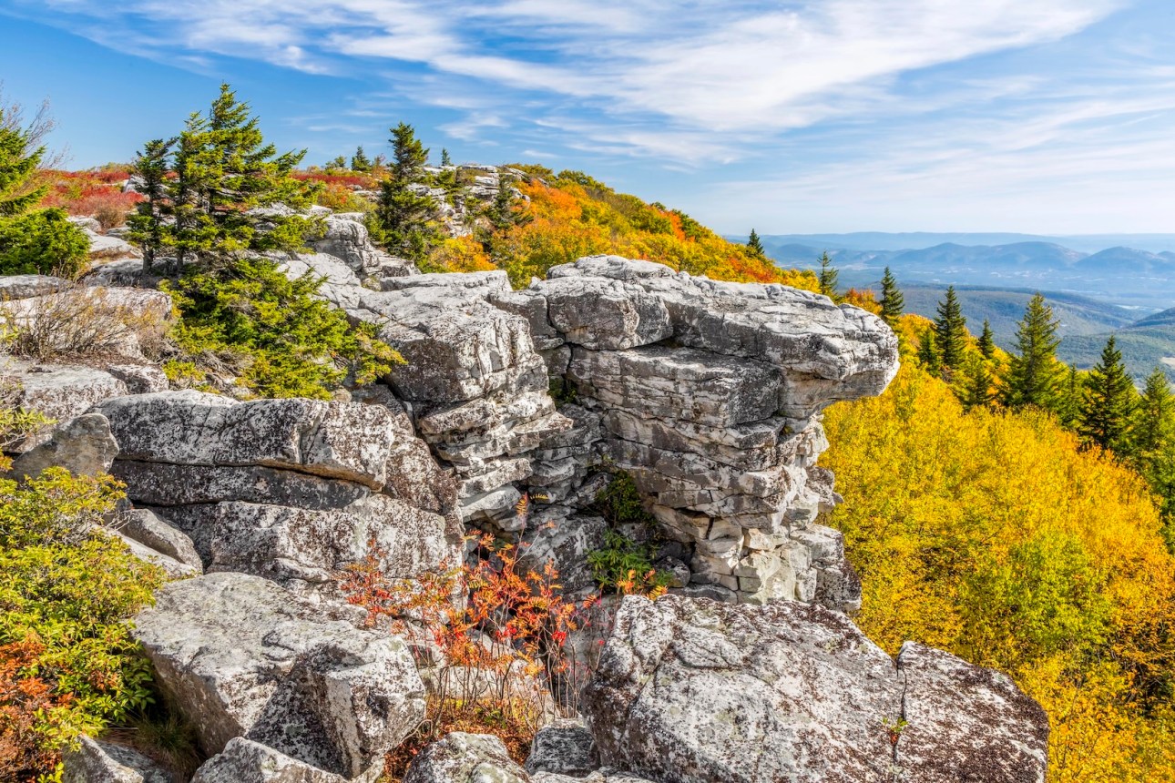 Colorful fall foliage adorns Bear Rocks at the Dolly Sods Wilderness in the Allegheny Mountains of West Virginia.
