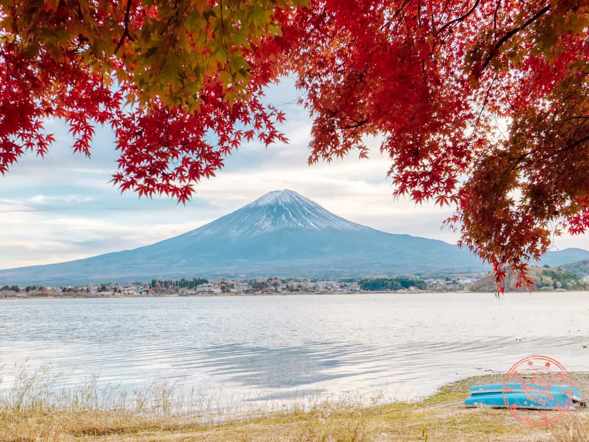 mt. fuji lake kawaguchiko fall colours photography spot